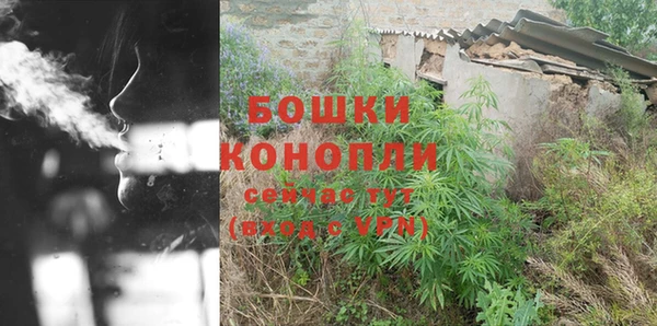 PSILOCYBIN Аркадак