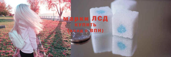 PSILOCYBIN Аркадак