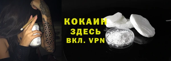 PSILOCYBIN Аркадак