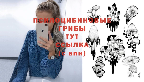 apvp Армянск